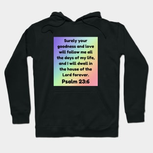 Bible Verse Psalm 23:6 Hoodie